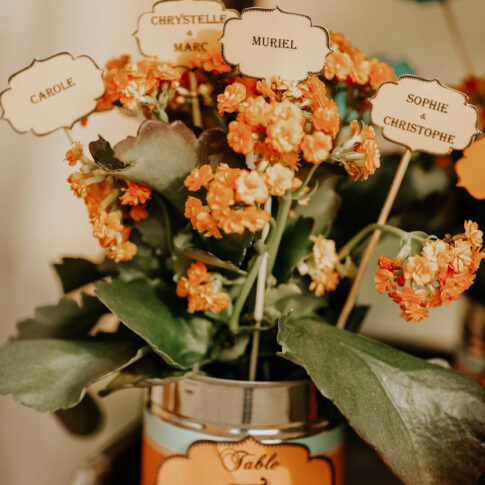photographe-mariage-roissard-trieves110