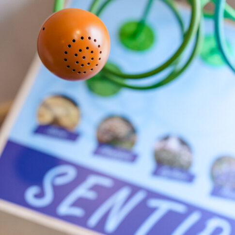 reportage-photo-science015