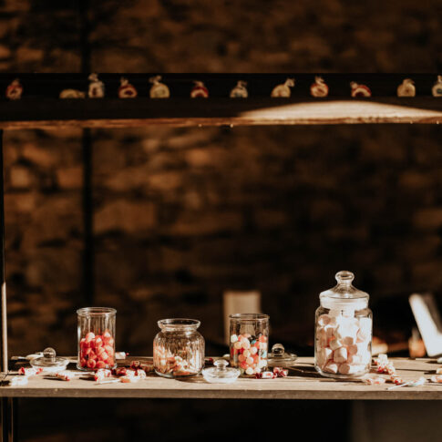 photographe-mariage-domaine-de-chanille-isère078